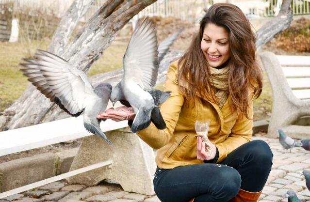 WinCompanion: Complete Guide to the Racing Pigeon Management Software WinCompanion